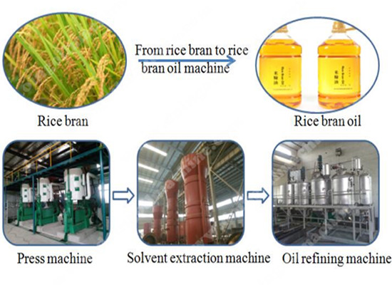 Rice bran oil manufacturing process machinery