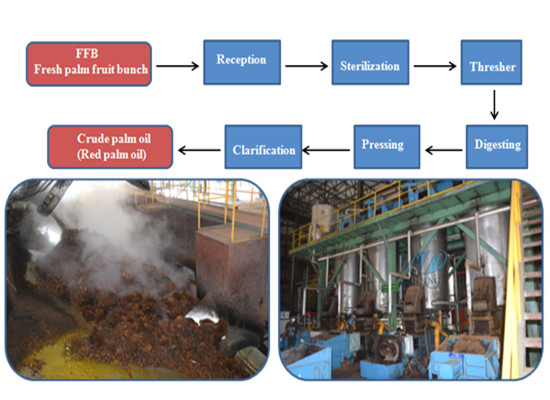 Large capacity palm oil extraction process machinery