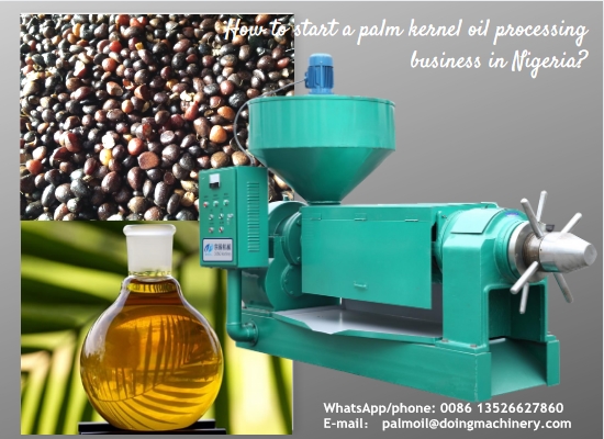 A Nigerian customer successfully ordered palm nut oil extraction machines from Henan Glory company