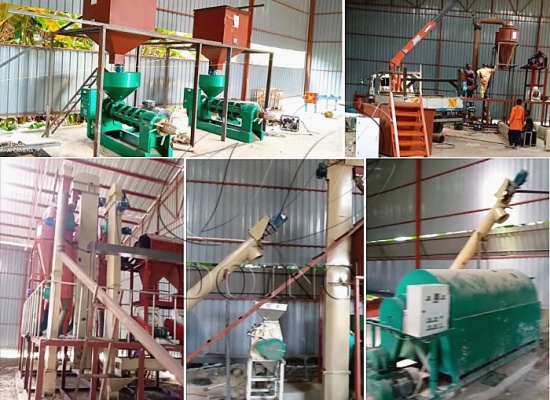 5tph palm kernel cracker and separator machine project and 1tph palm kernel oil extraction machine project in Uganda