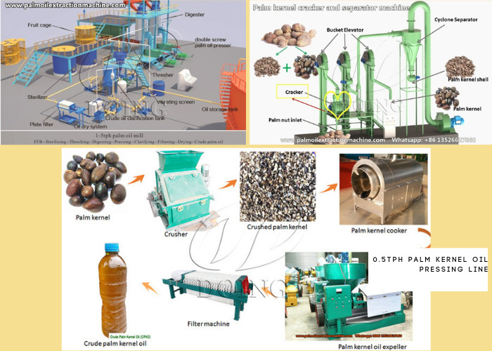 palm oil and palm kernel oil extraction machines .jpg