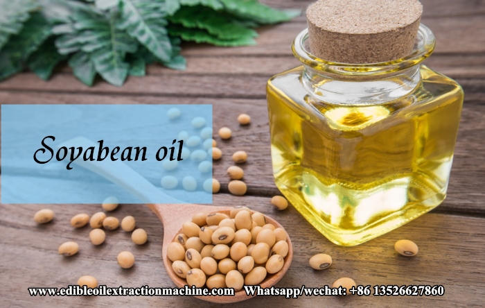 soybean and soybean oil.jpg