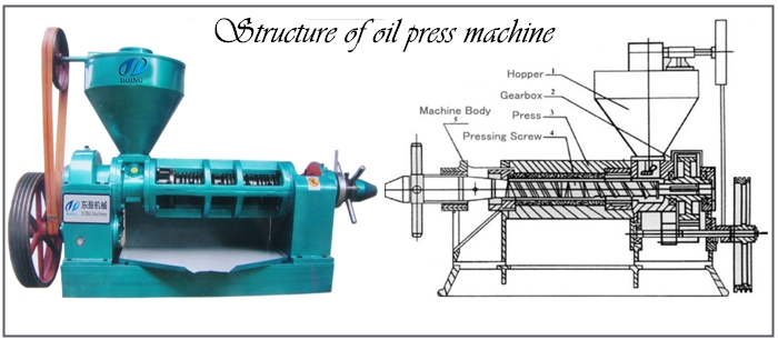 Structure of oil press machine.jpg