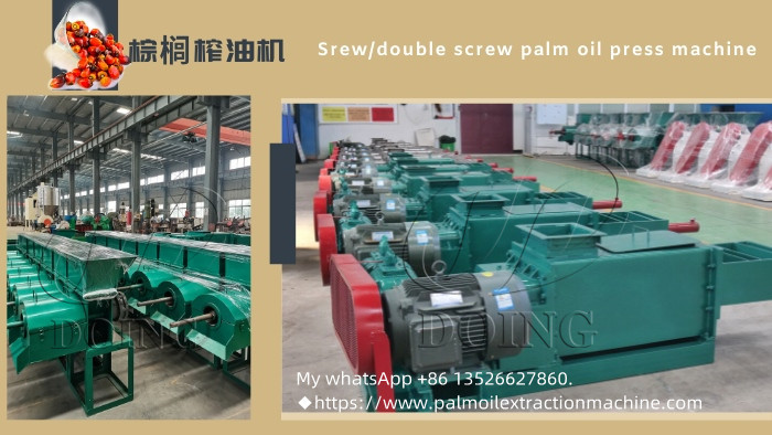 Single-screw and double-screw palm oil extraction machines.jpg