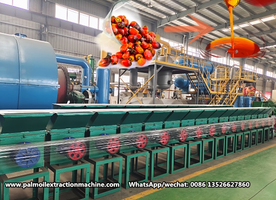 Cost-effective palm oil extraction machine for high yield and profit