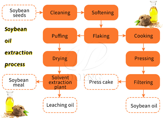 How To Extract Oil From Soybeans Vegetable Oil Processing Technology