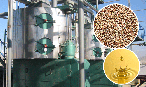 Sesame oil extraction plant