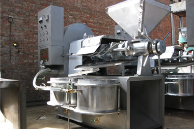 screw oil press machine